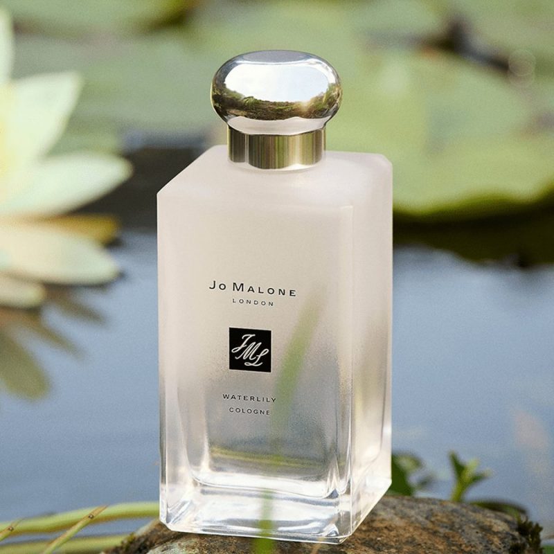 Waterlily