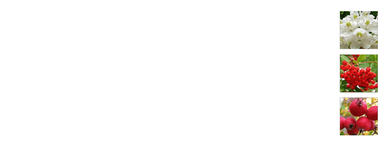 taogai