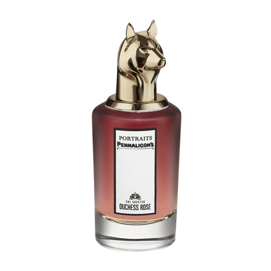 The Coveted Duchess Rose
