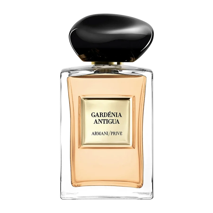 Gardenia Antigua