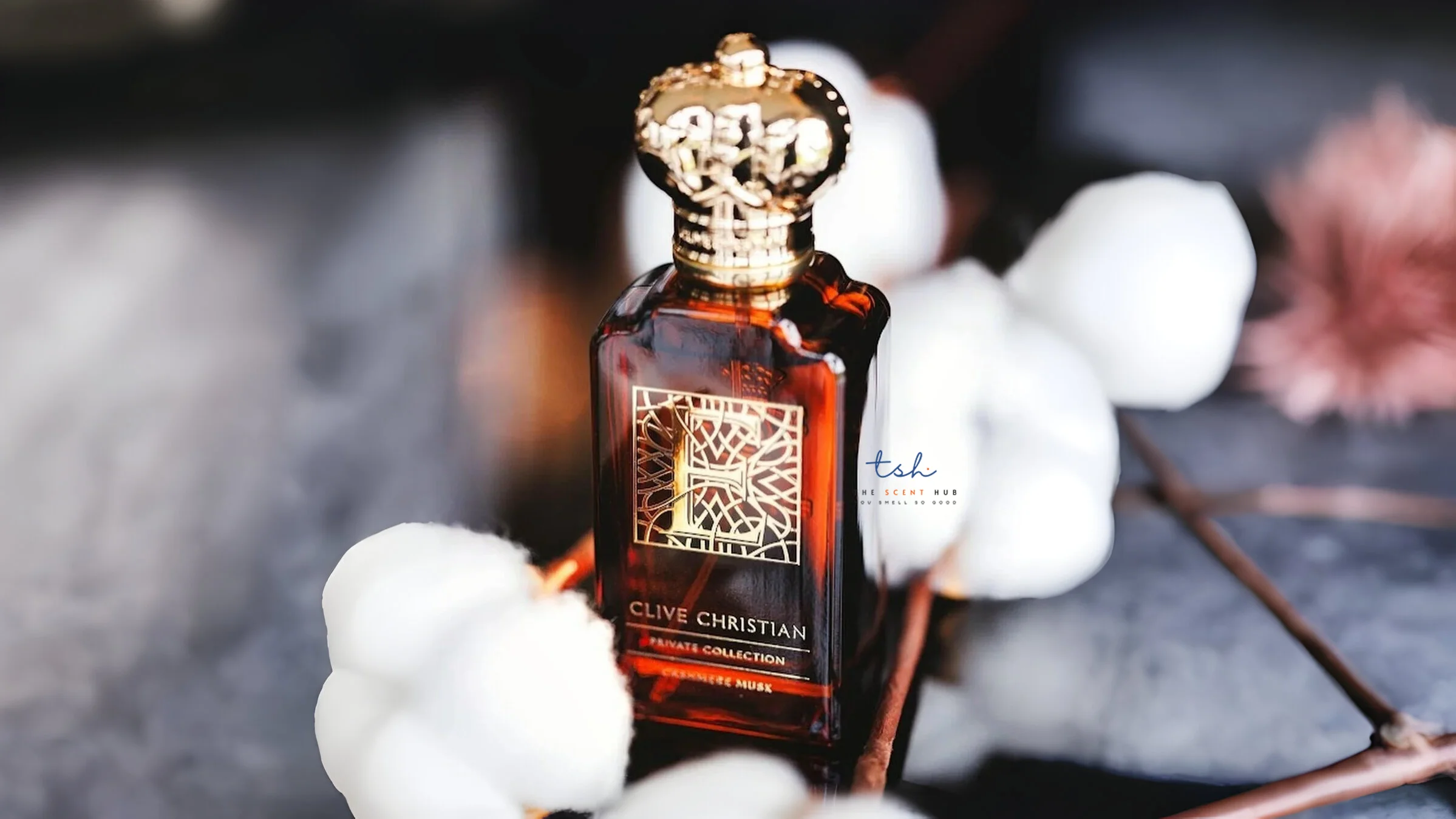 E Cashmere Musk concept Huongcuanang