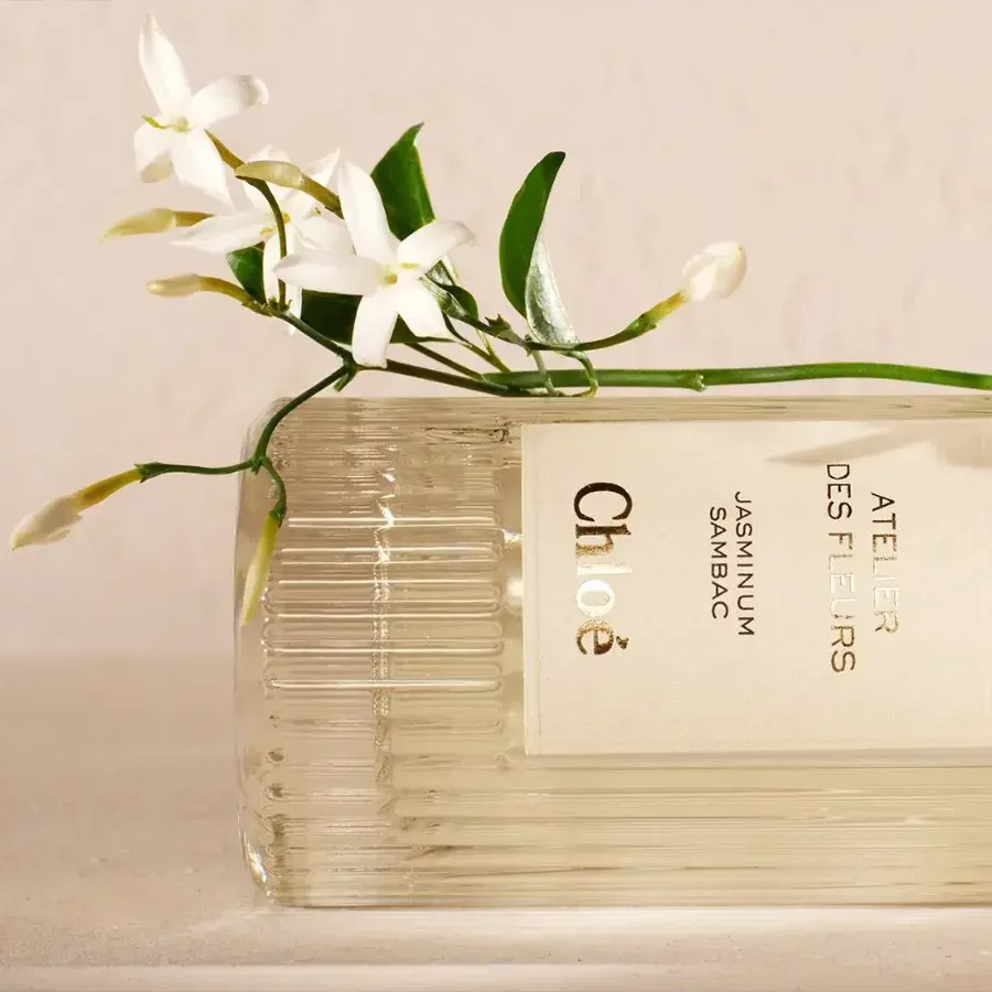 Chloé - Atelier des Fleurs Jasminum Sambac